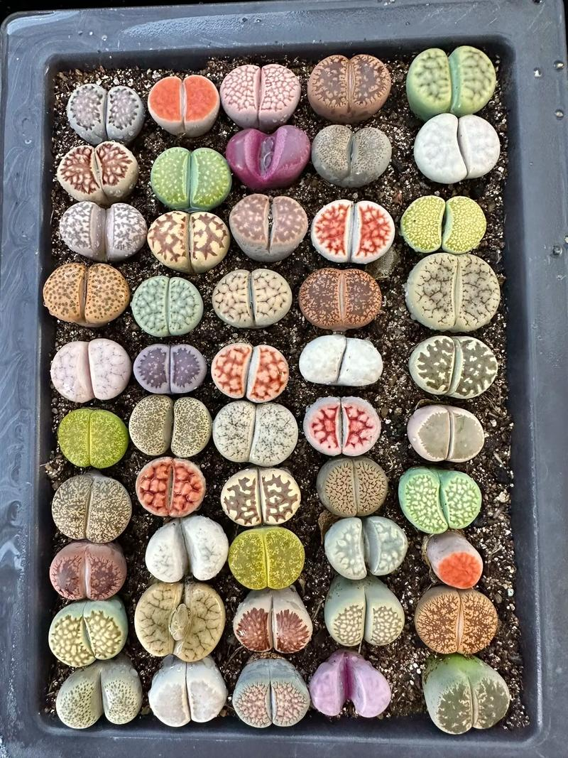 图片 2