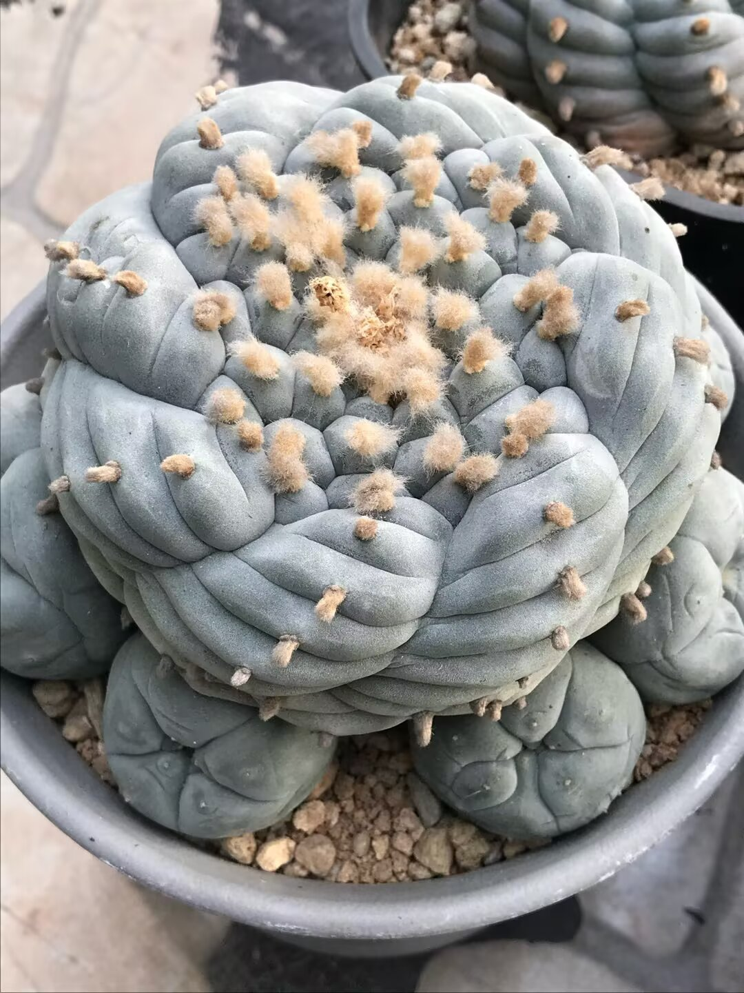 图片 3