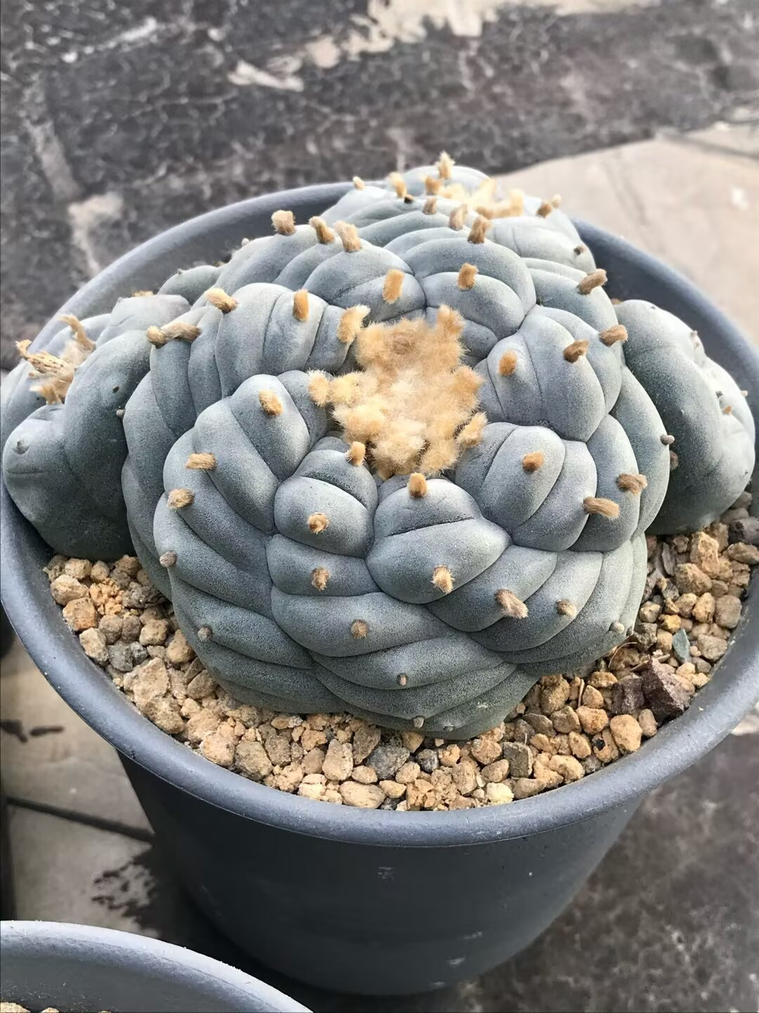 图片 1