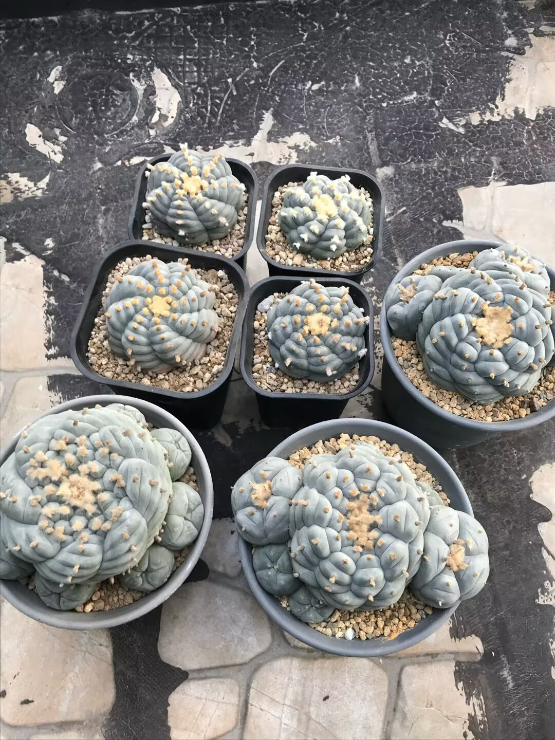 图片 7
