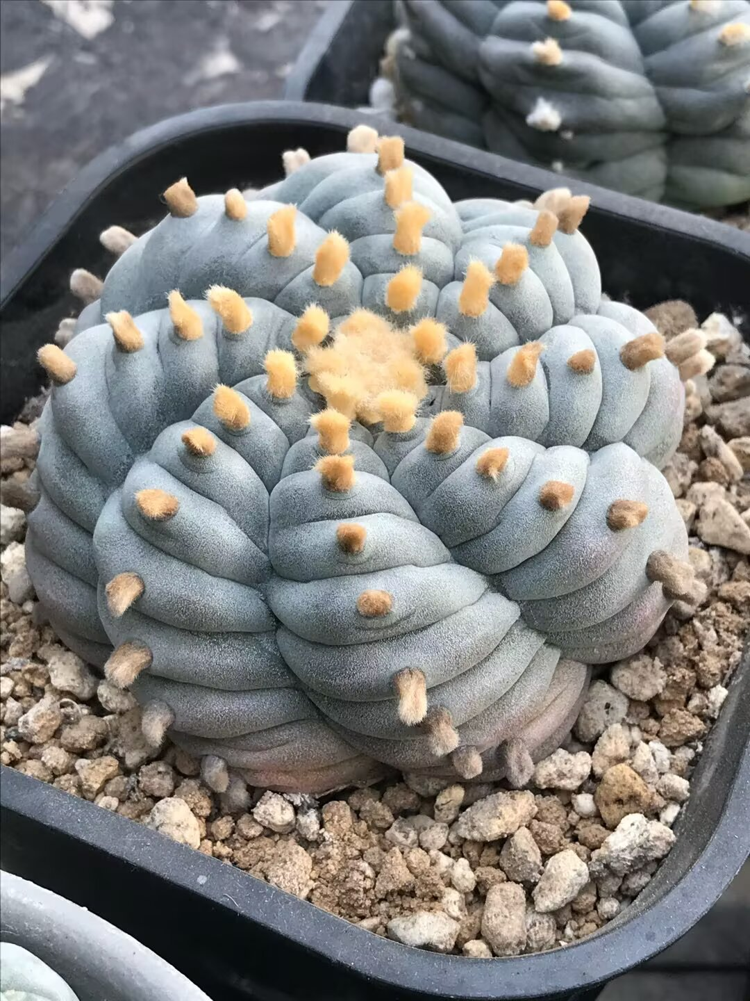 图片 4