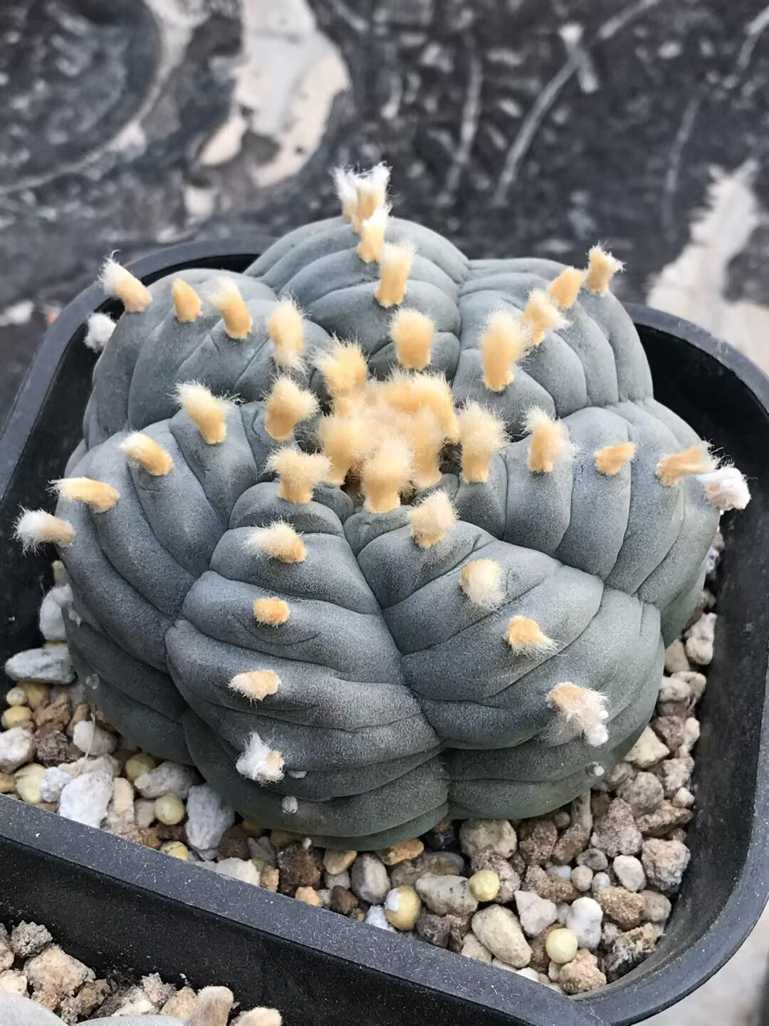 图片 5
