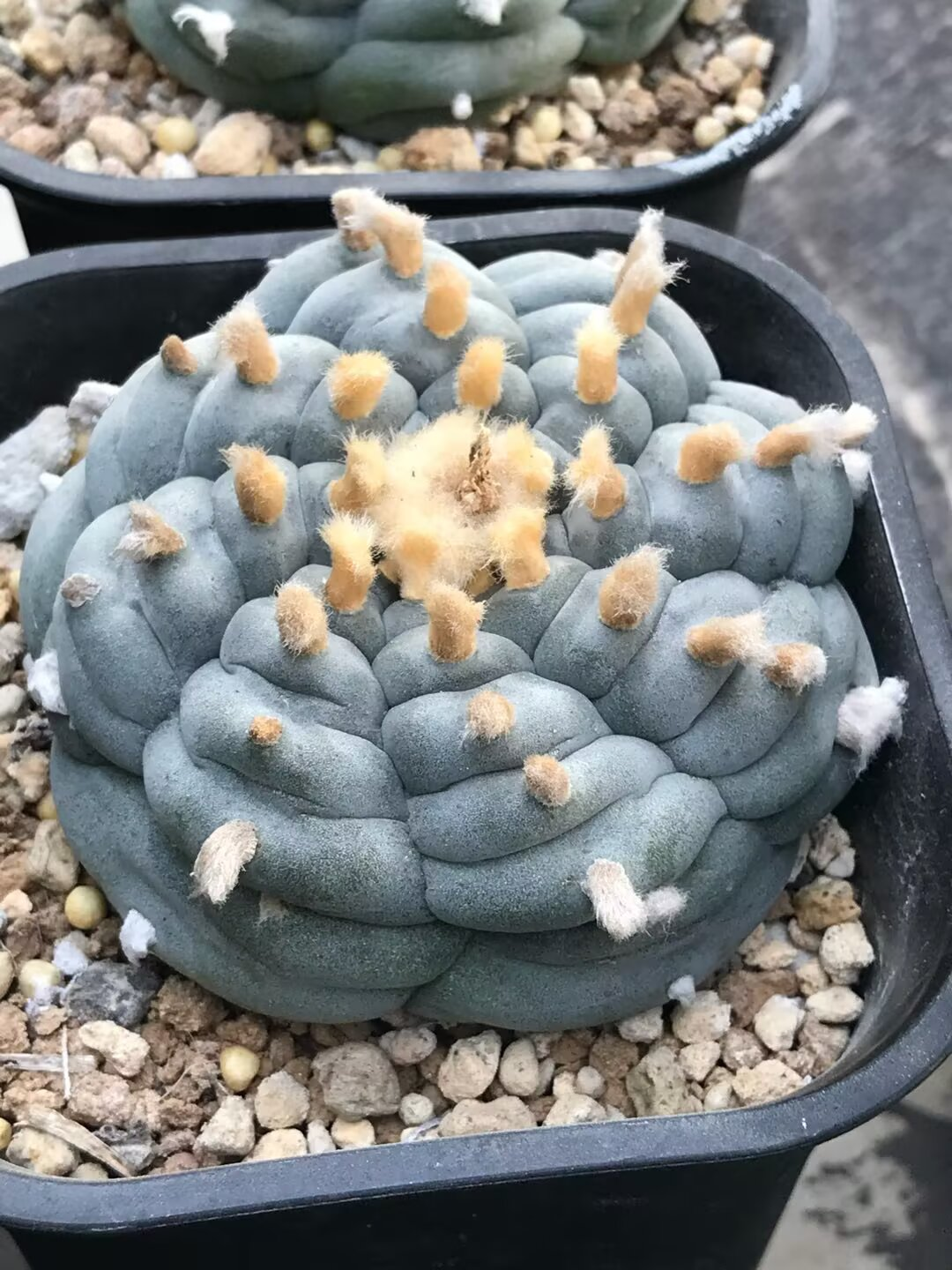 图片 6
