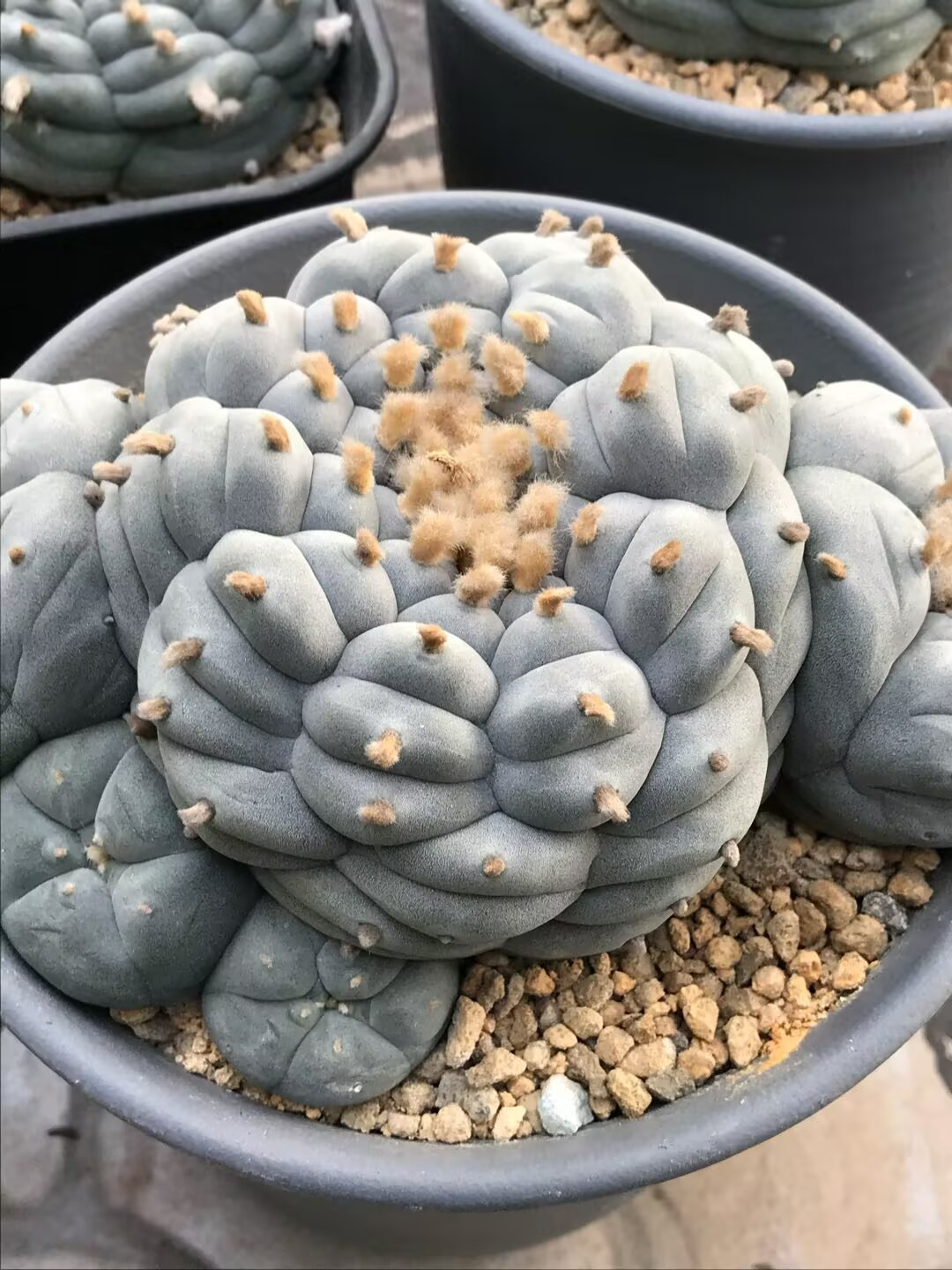 图片 8