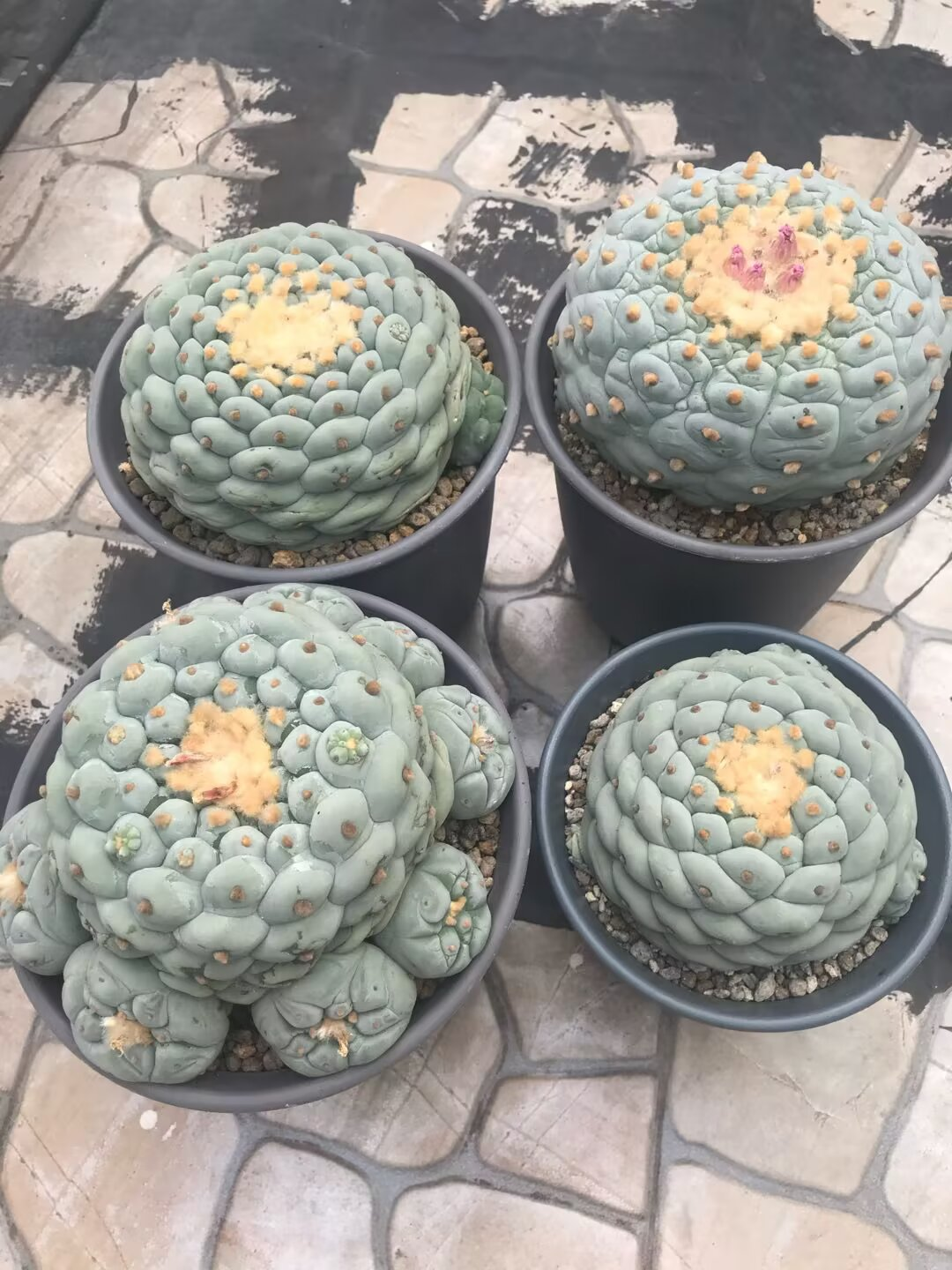 图片 2