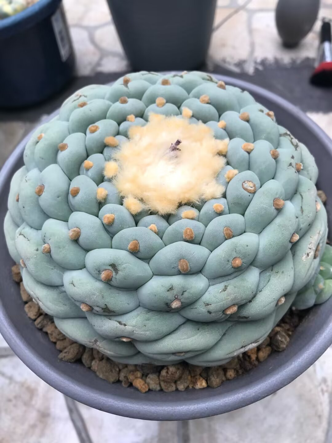图片 3