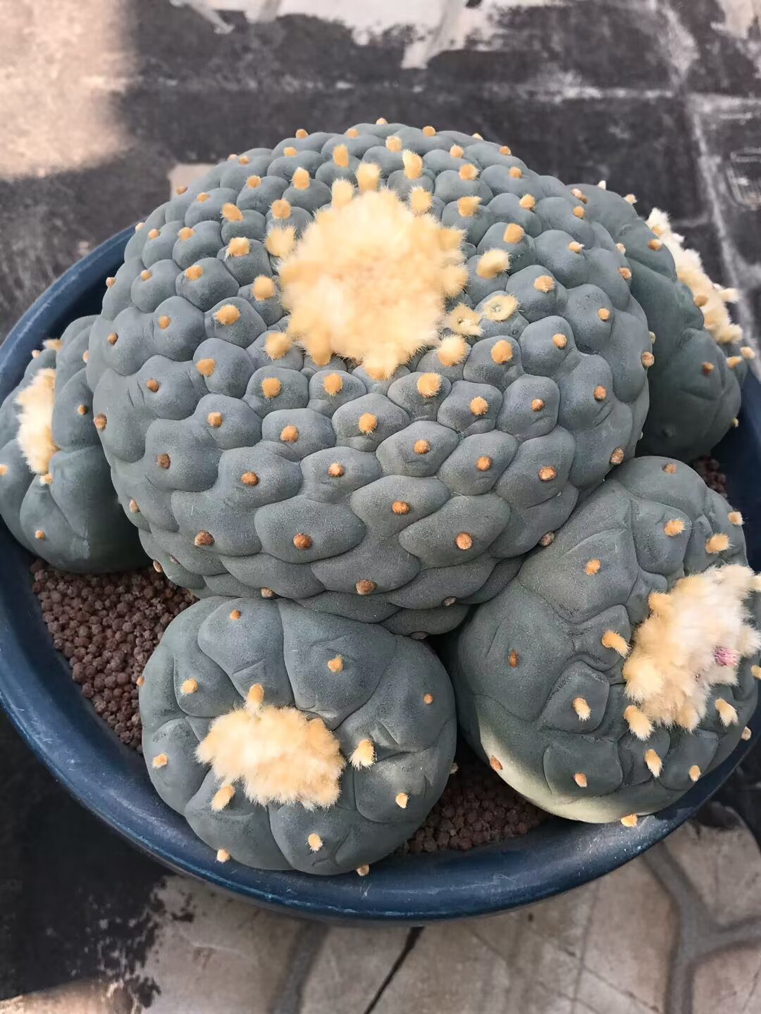 图片 5