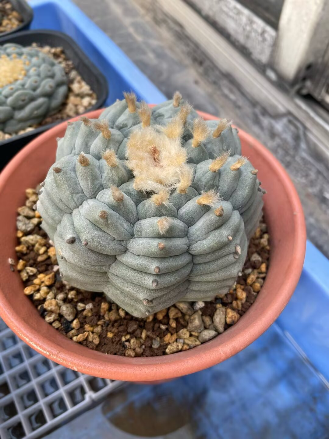 图片 2