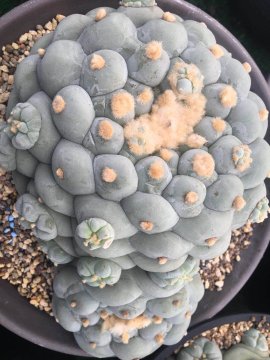 图片 8