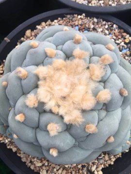 图片 7