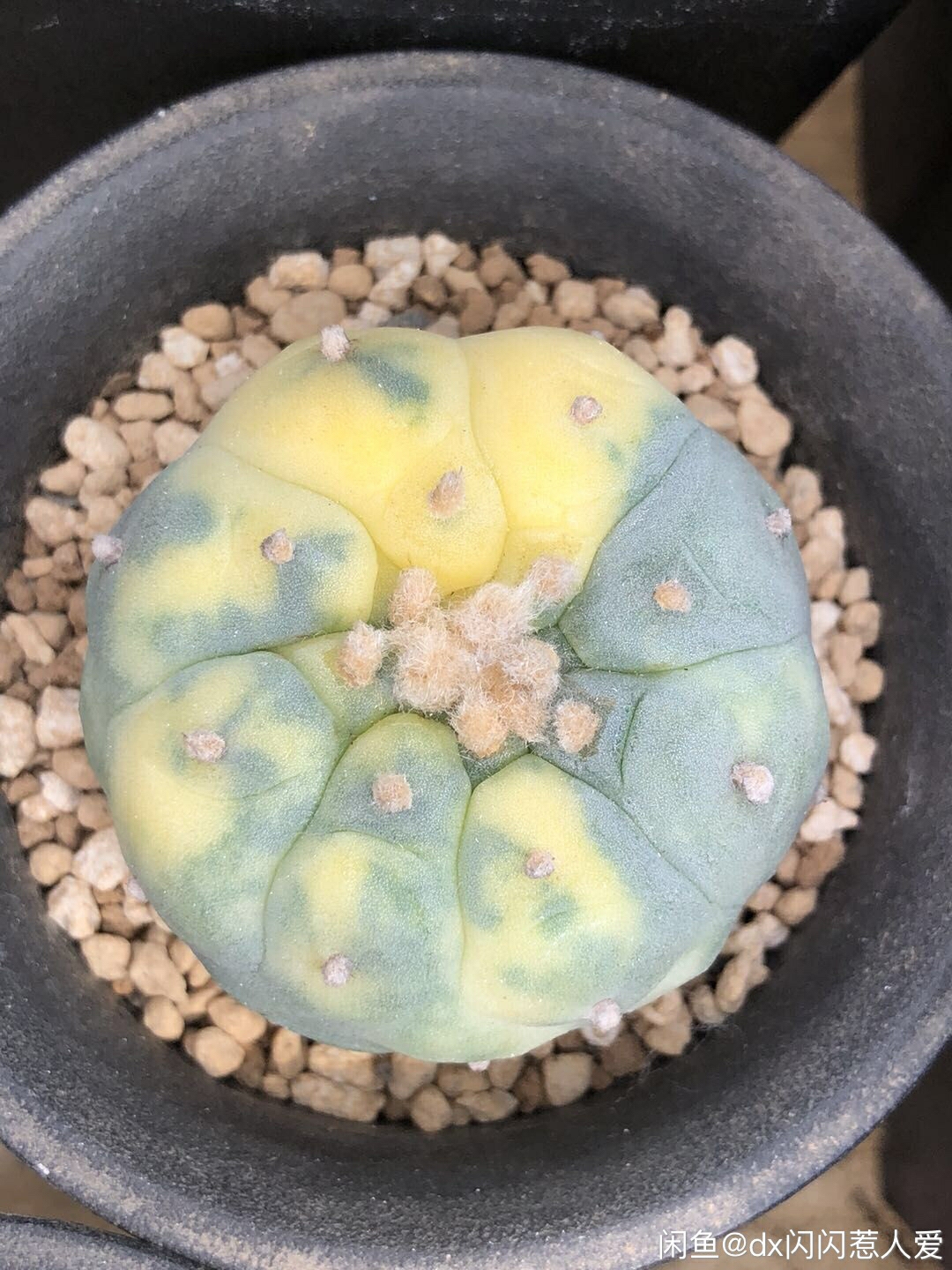 图片 1
